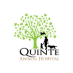 Quinte Animal Hospital